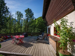 Appt avec grande terrasse face au Mont-Blanc